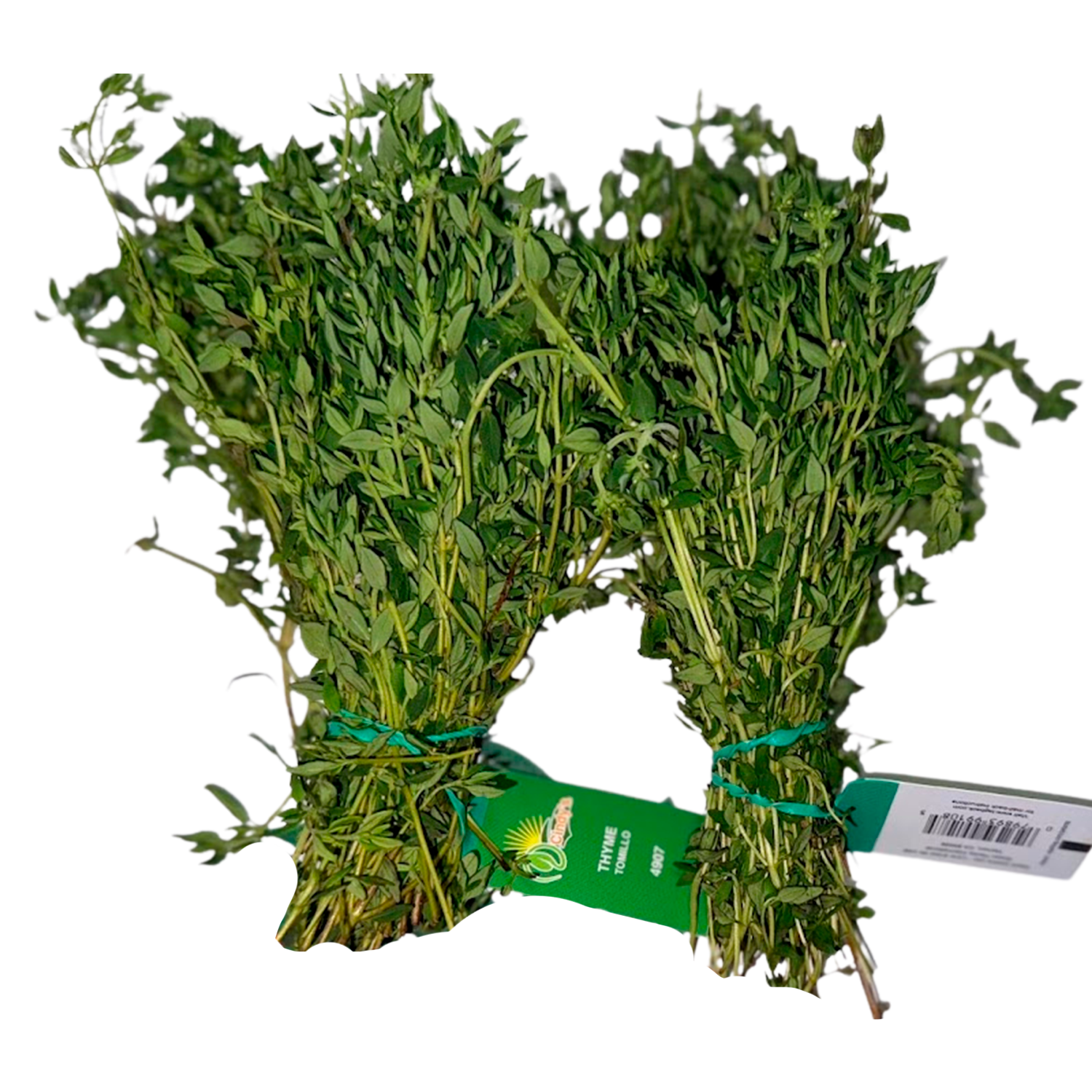 Thyme